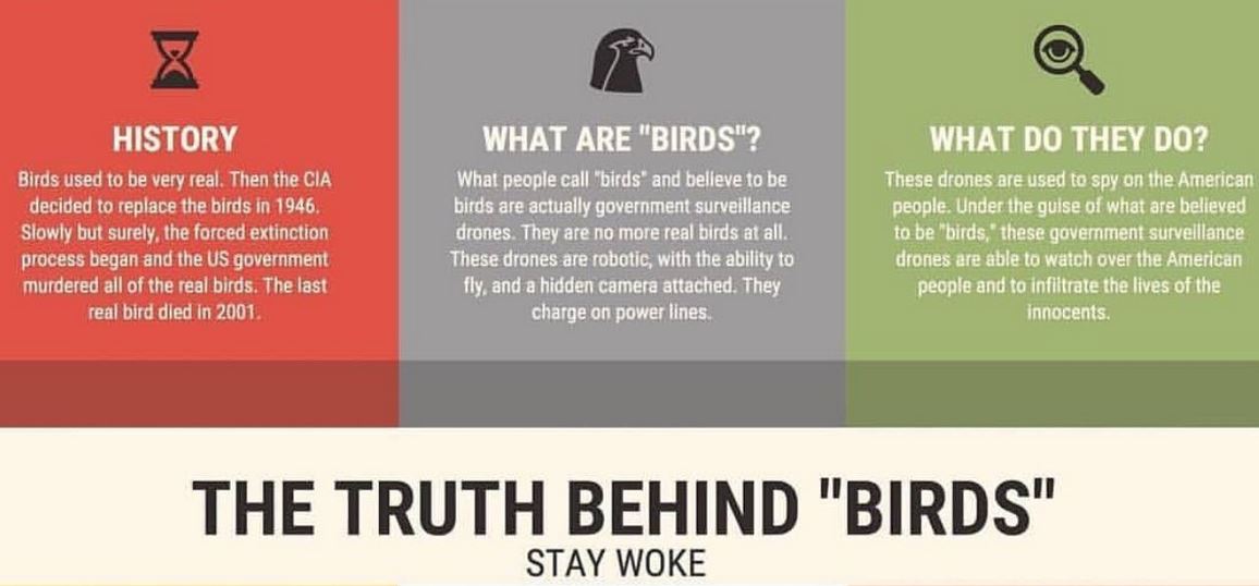 birds.JPG