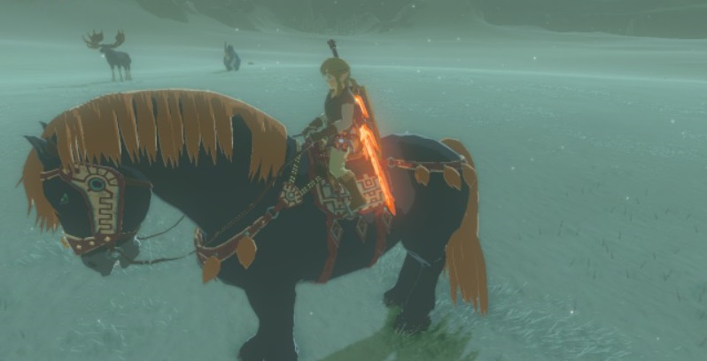 Botw7.jpg