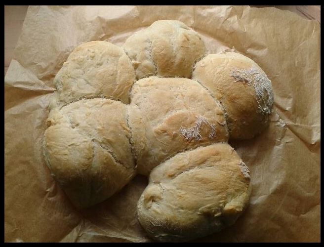 brot.JPG