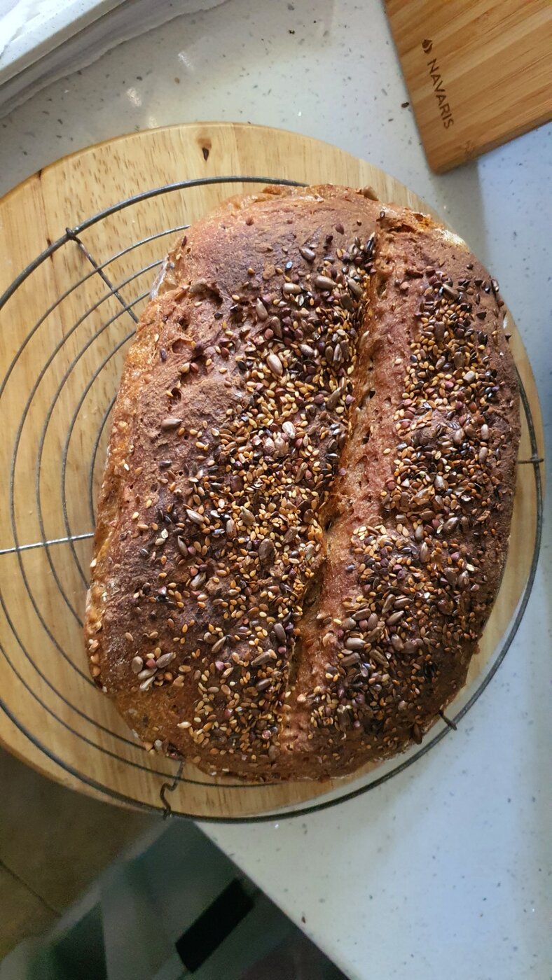 Brot1.jpg