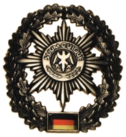 BW_Barettabzeichen_Feldjäger[1].jpg