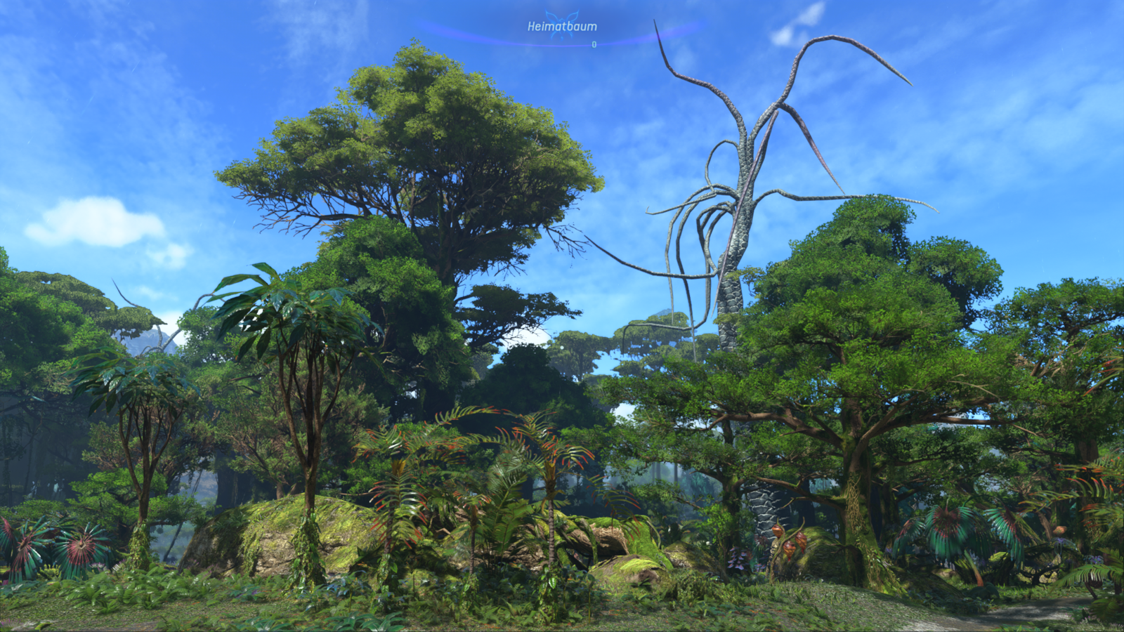 c0aaad90-3dbd-4428-8db8-6041c28f1879.png