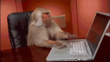 C3F73B17-F212-4980-A5EC-08E65363924B.gif