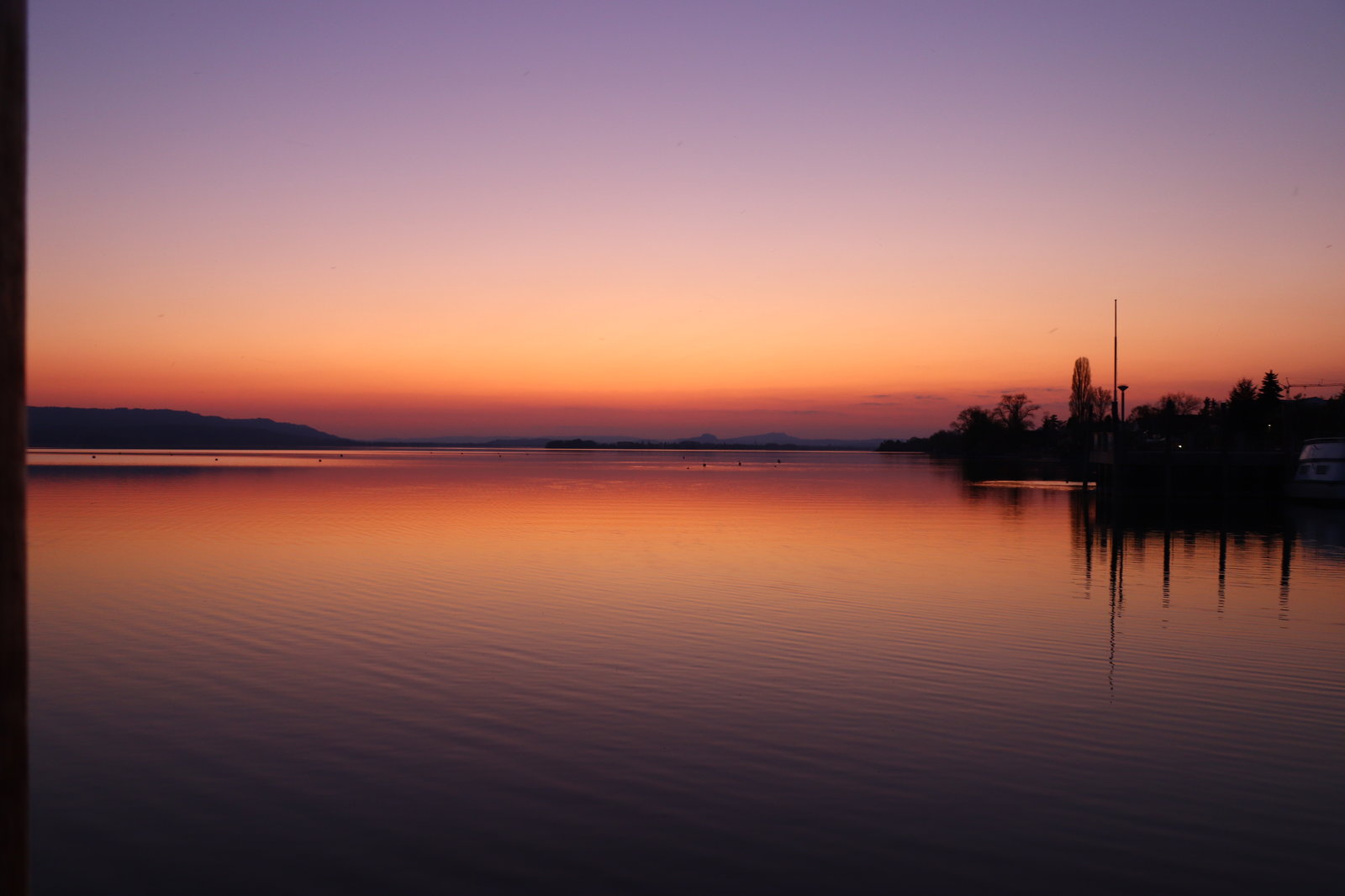 C49A2731-1D71-4C3B-A34B-8A157C060048.jpeg
