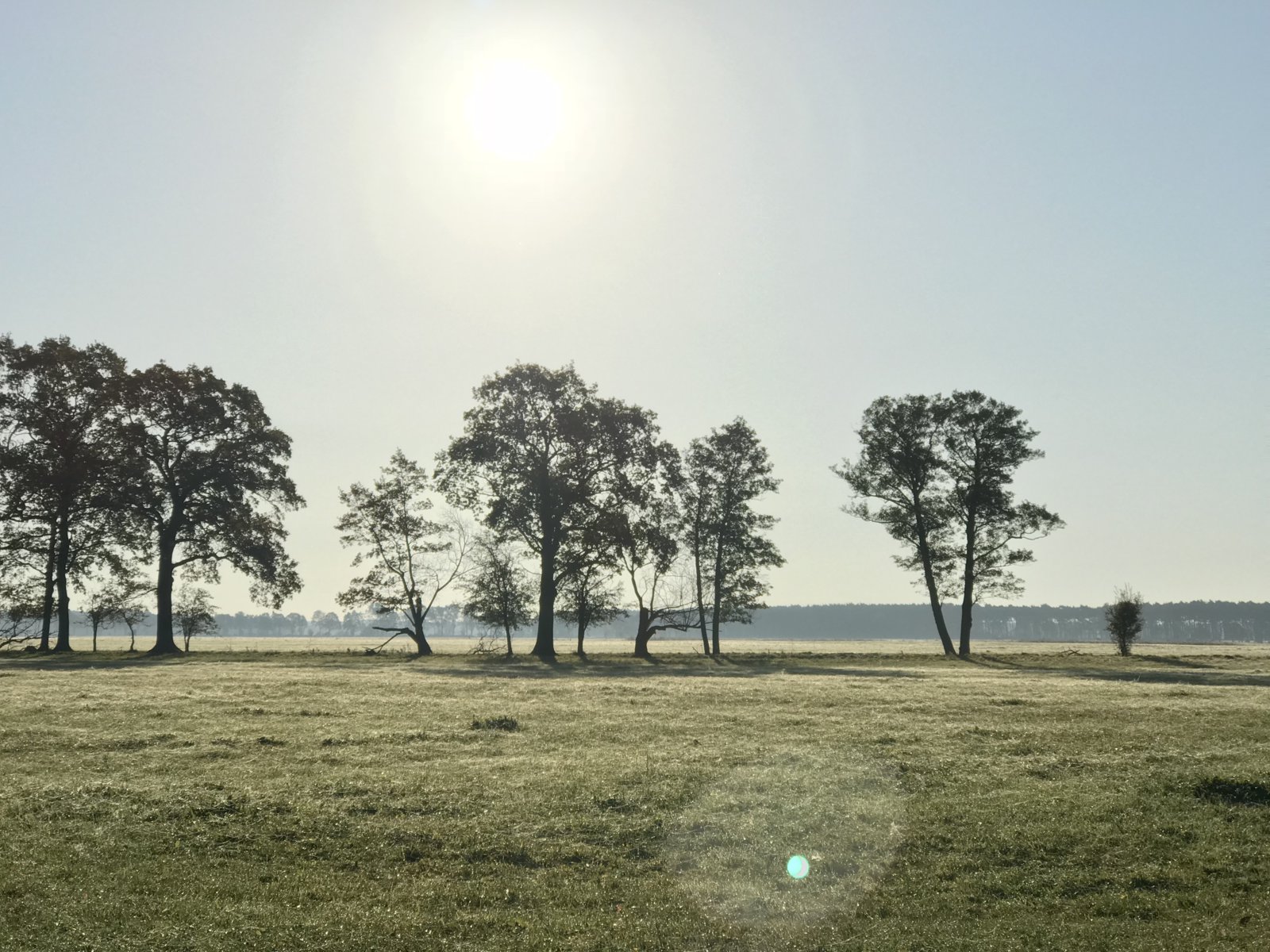 C53FF0B8-DF93-474F-9A52-5988C4F45A69.jpeg