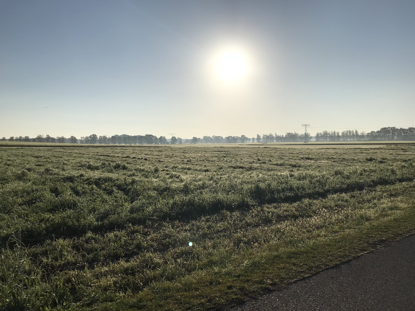 C6B12C8E-1756-4F89-BE4E-8843149E3D27.jpeg
