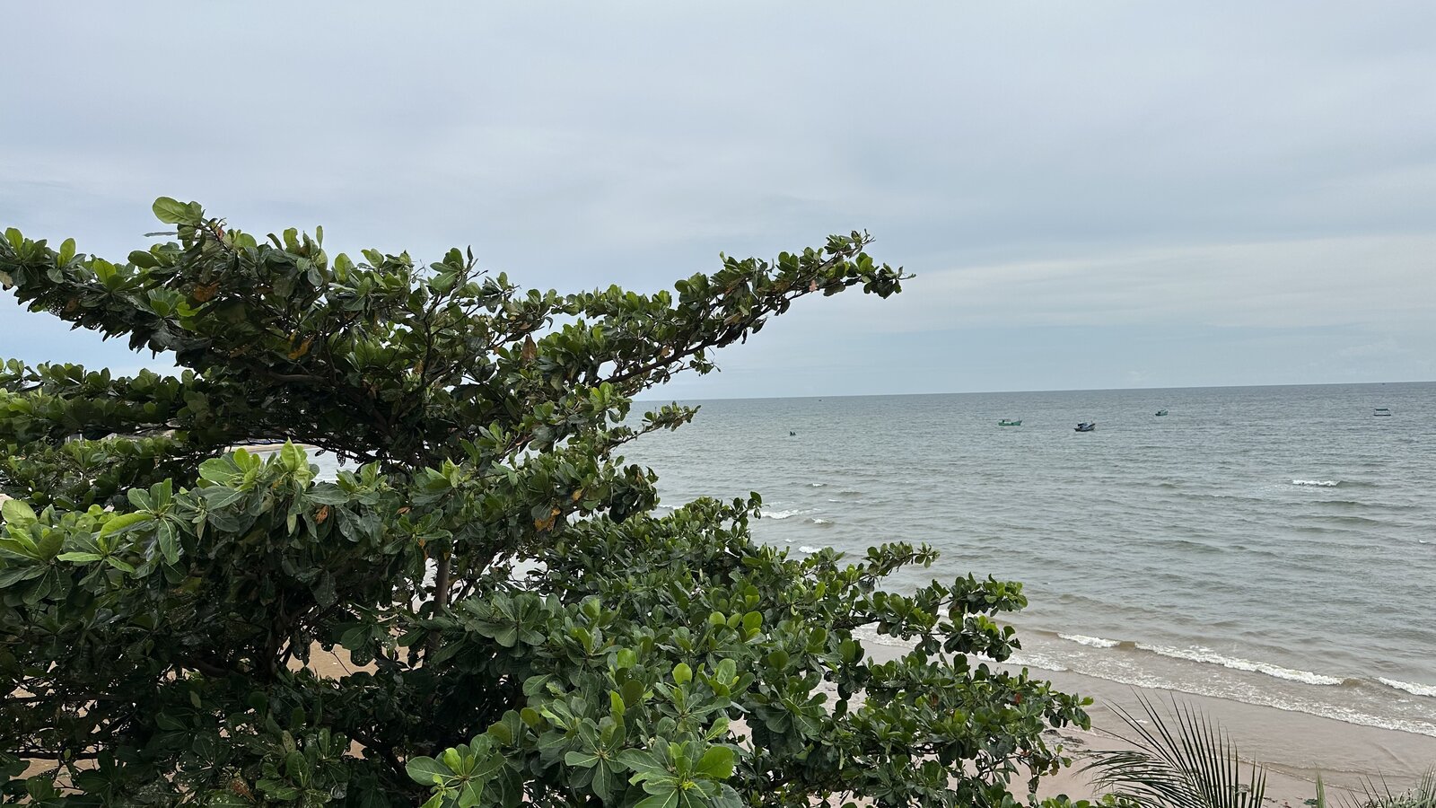 C856F8A8-0A4F-4438-A29F-F5976BB9A9D0.jpeg