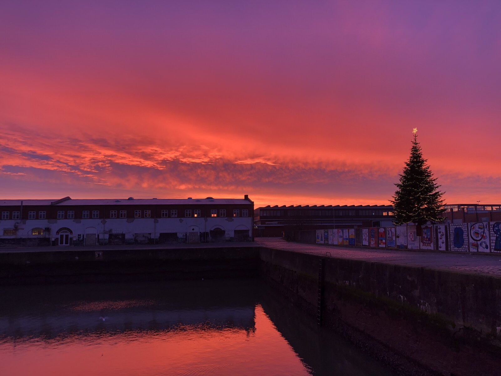 C9A79995-B690-4146-8BDC-0CE01F3C068F.jpeg