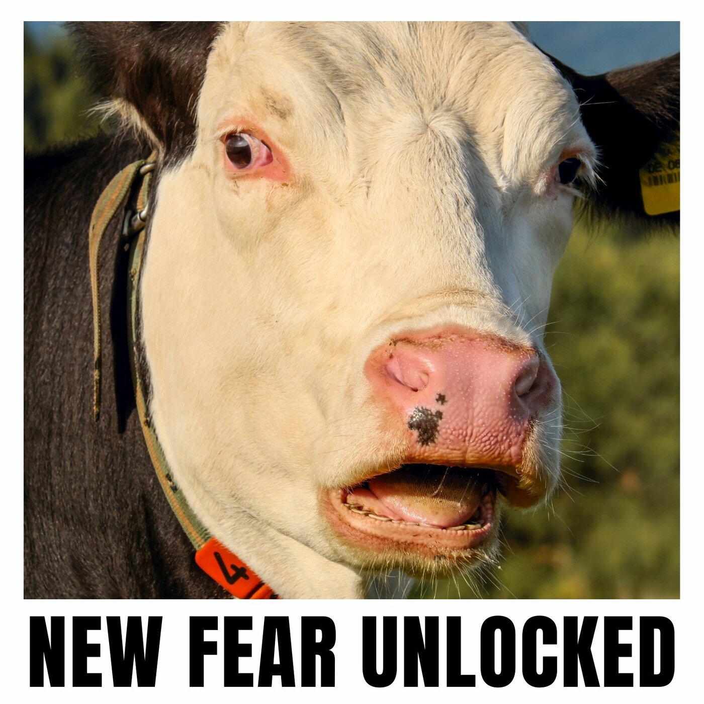 canva-black-white-funny-photo-new-fear-unlocked-meme-0oE_65N9snY.jpg