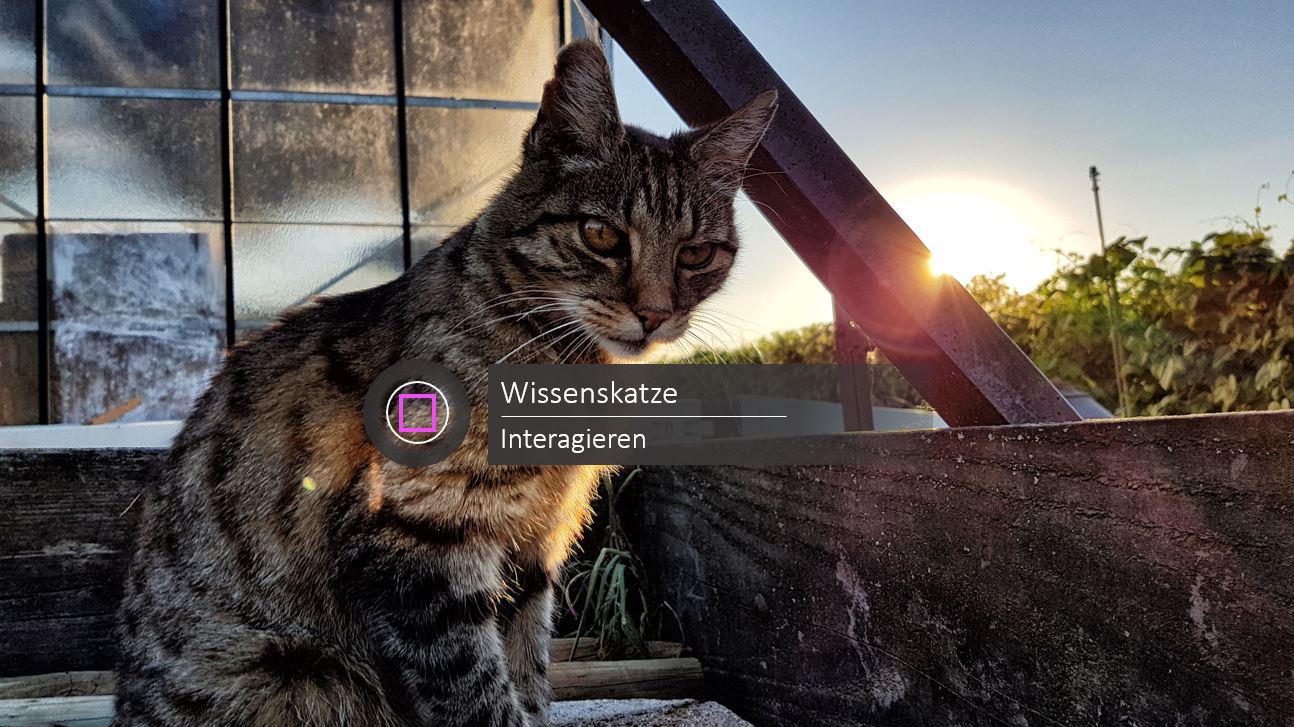 Capture.JPG