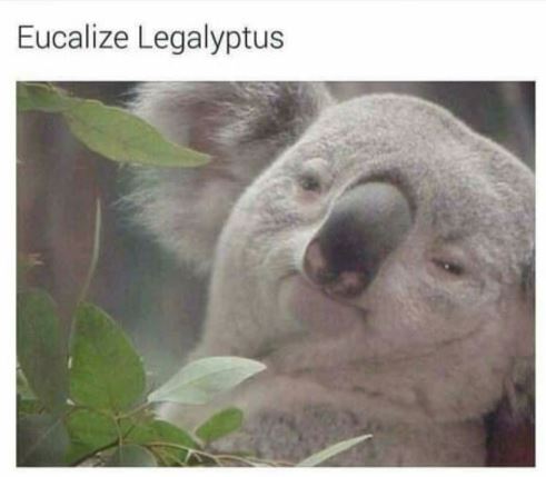 Capture.JPG