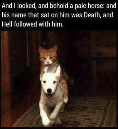 Capture.JPG