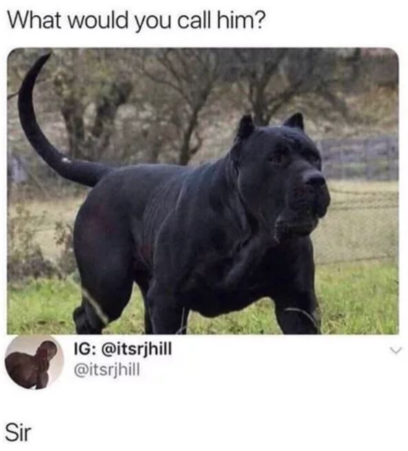 Capture.JPG