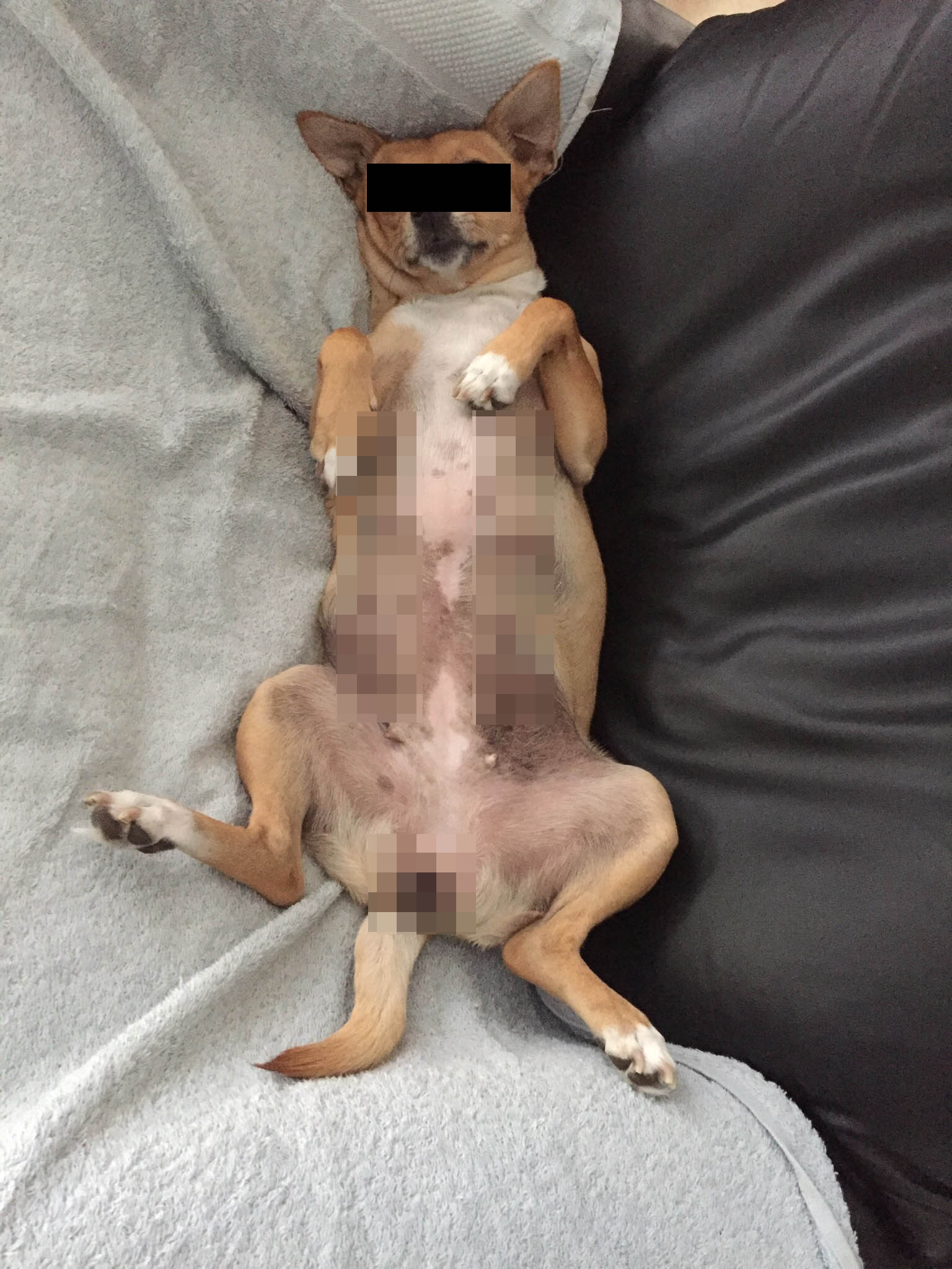 casting_couch.jpg