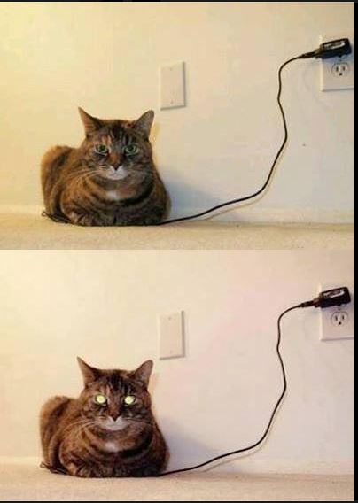 cat charger.JPG