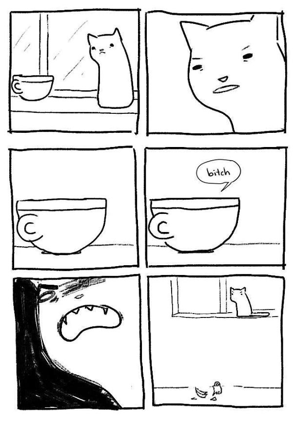 cat-logic-funny-411__605.jpg