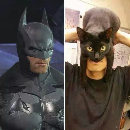Catman.jpeg