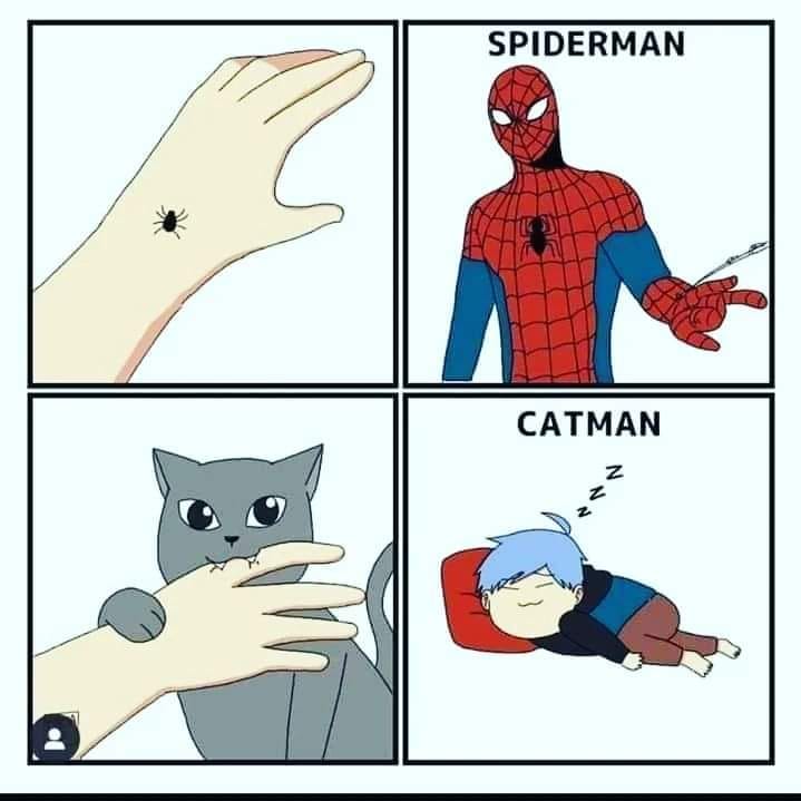 catman.jpg