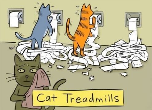 catt.JPG