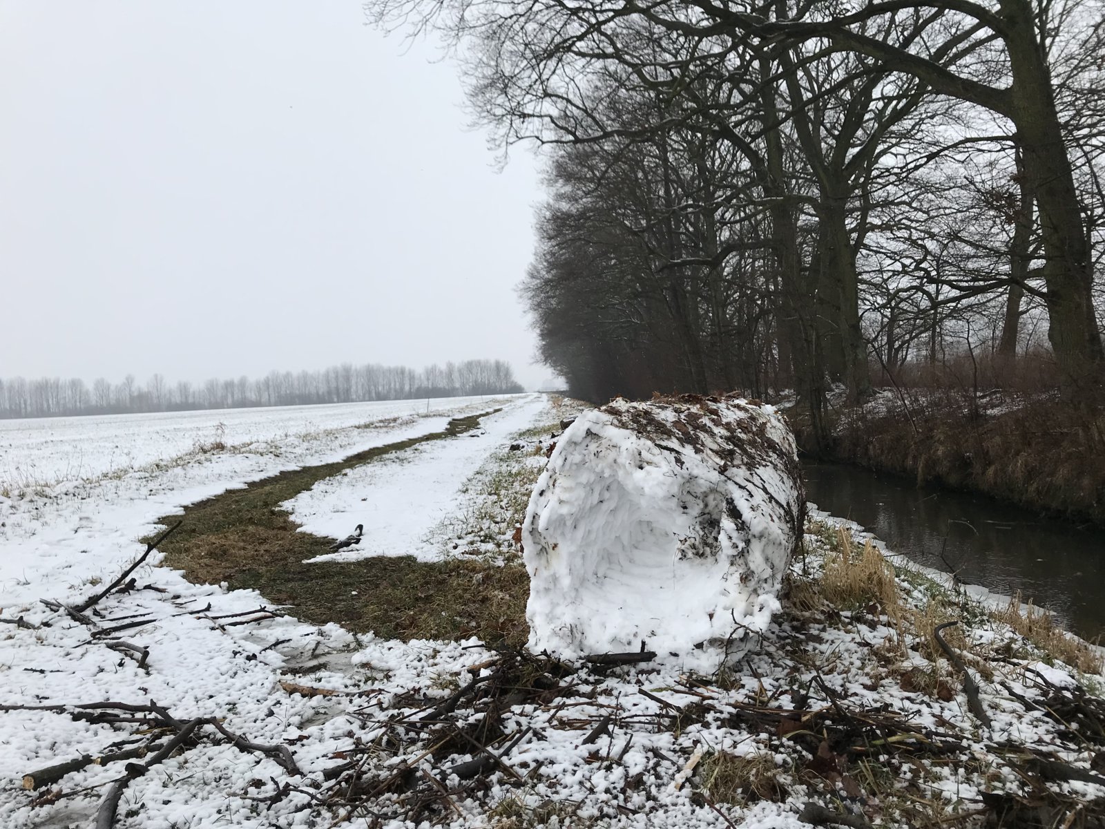 CCDEAAC0-FEB3-43F9-9B59-EF21D88A25DF.jpeg