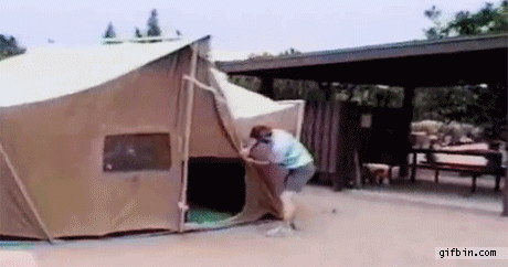 CDA62699-42F4-42E4-8FF5-DAAD6CF7C422.gif
