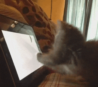 cehu6VXlSYGpG.gif