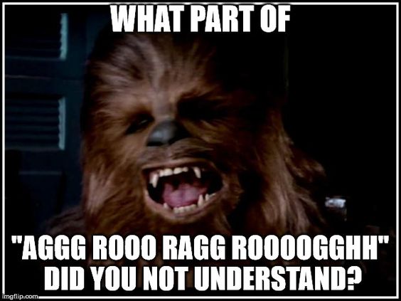 chewy.jpg