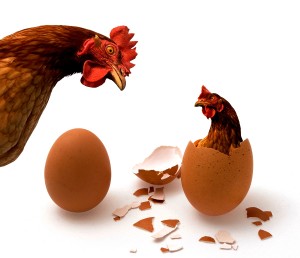 CHICKEN-AND-EGG-300x258.jpg