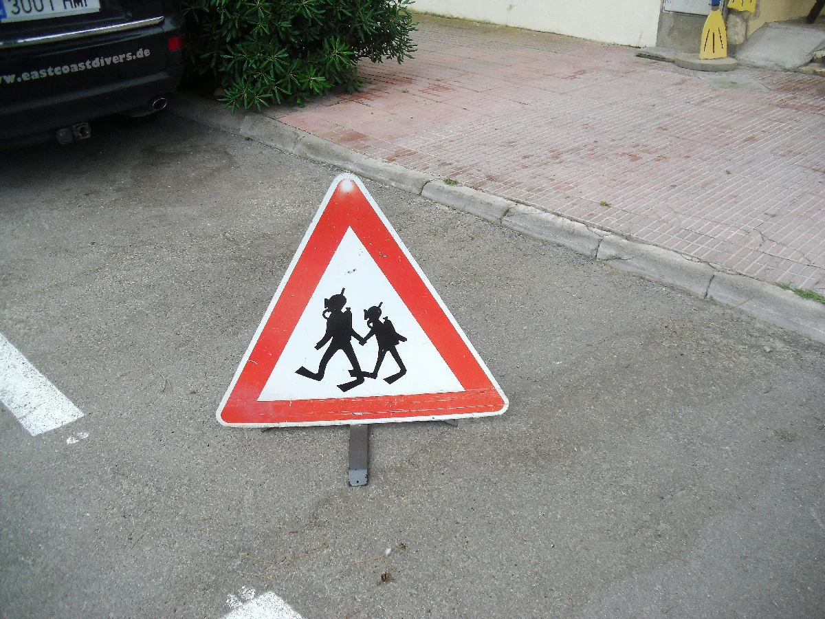 CIMG4469.webp