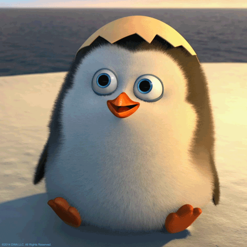 Cmr1OMJ2FN0B2.gif