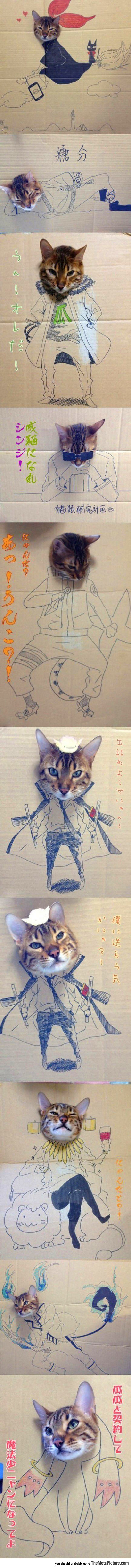cool-cats-cardboard-boxes-heads.jpg