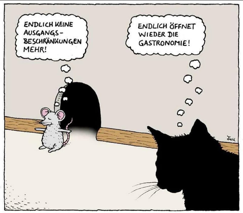 corona - katze maus.jpg