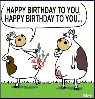 cow.jpg