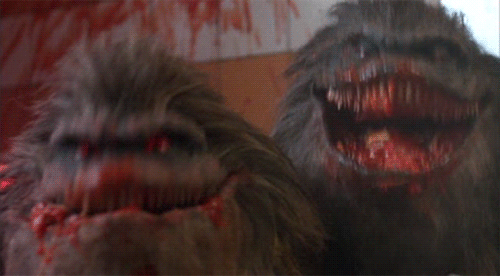 critter gif.gif