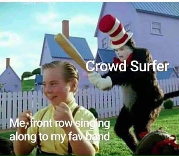 crowd surfer.jpg
