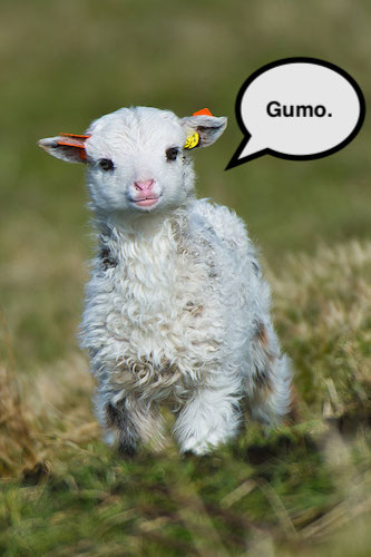 cute-baby-animals-32.jpg