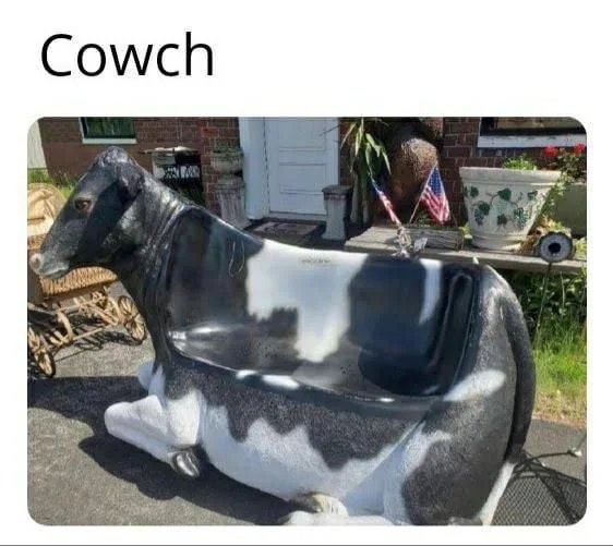 Cuz-it-sounds-like-couch-and-looks-like-a-cow-get-it-You-get-it-Ya-you-get-it.jpg