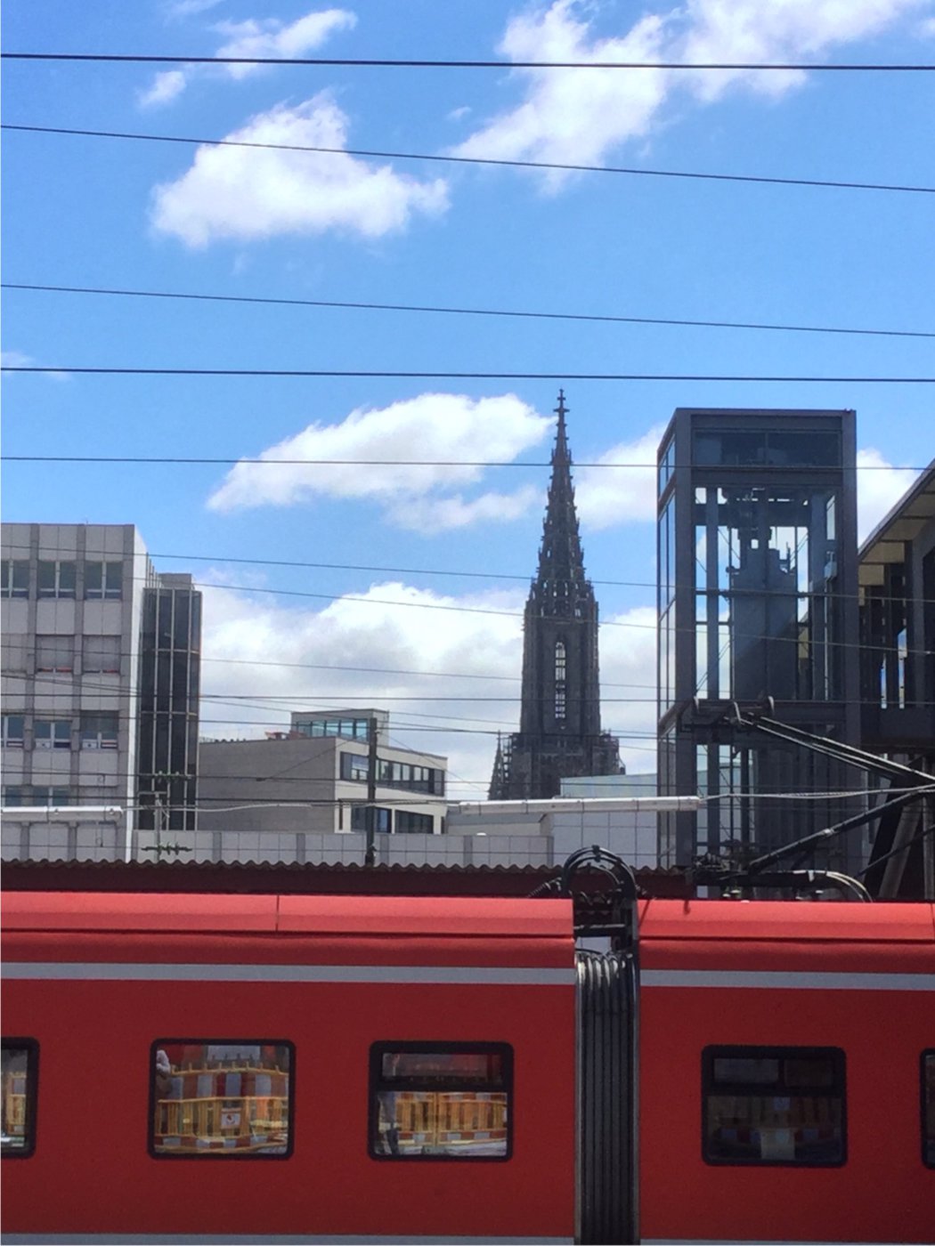 D07C3373-5790-4768-B169-AE9659A4D94D.jpeg