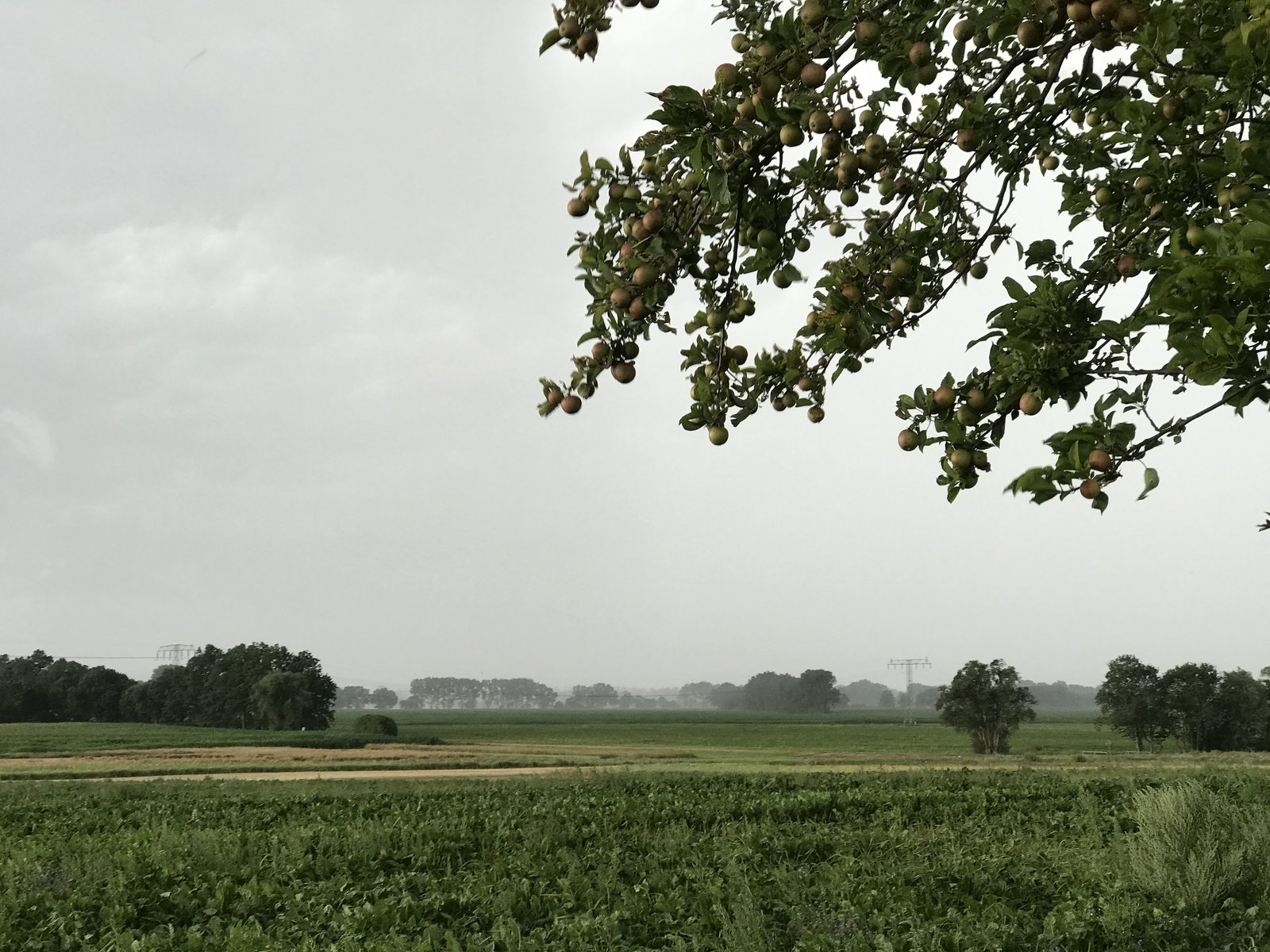 D1B95EC8-1608-48F3-873F-A122447F52E7.jpeg