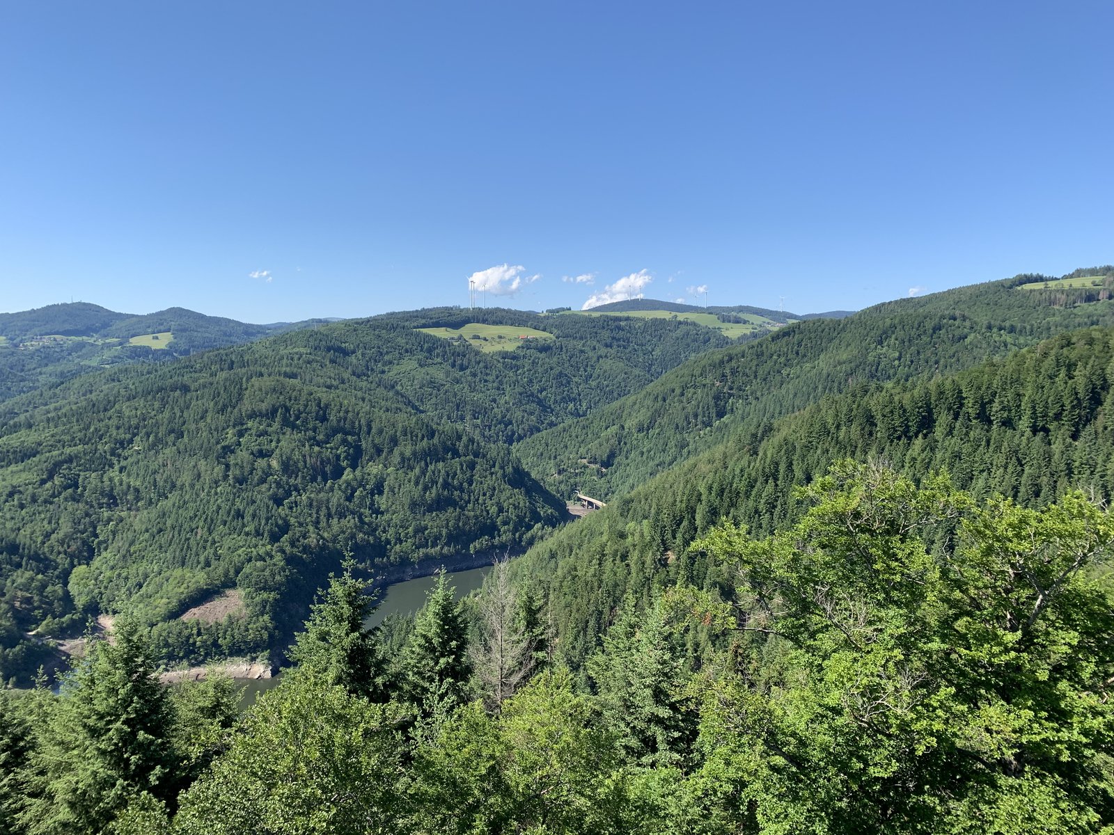 D2782903-19E6-4704-A734-A0D871759DC2.jpeg