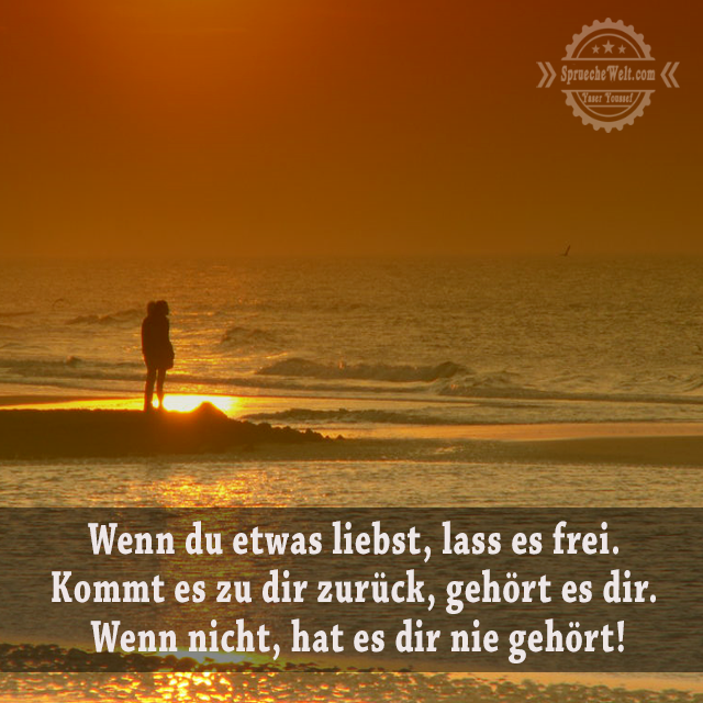 d58072be2820e8682c0a27c0518e805e.png