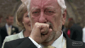 d6ce4d3695047873ac07244aa4ab7320a6e93364.gif