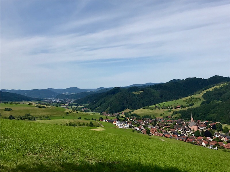 D8F188D3-B9D6-4B75-AC79-7C74635A575B.jpeg