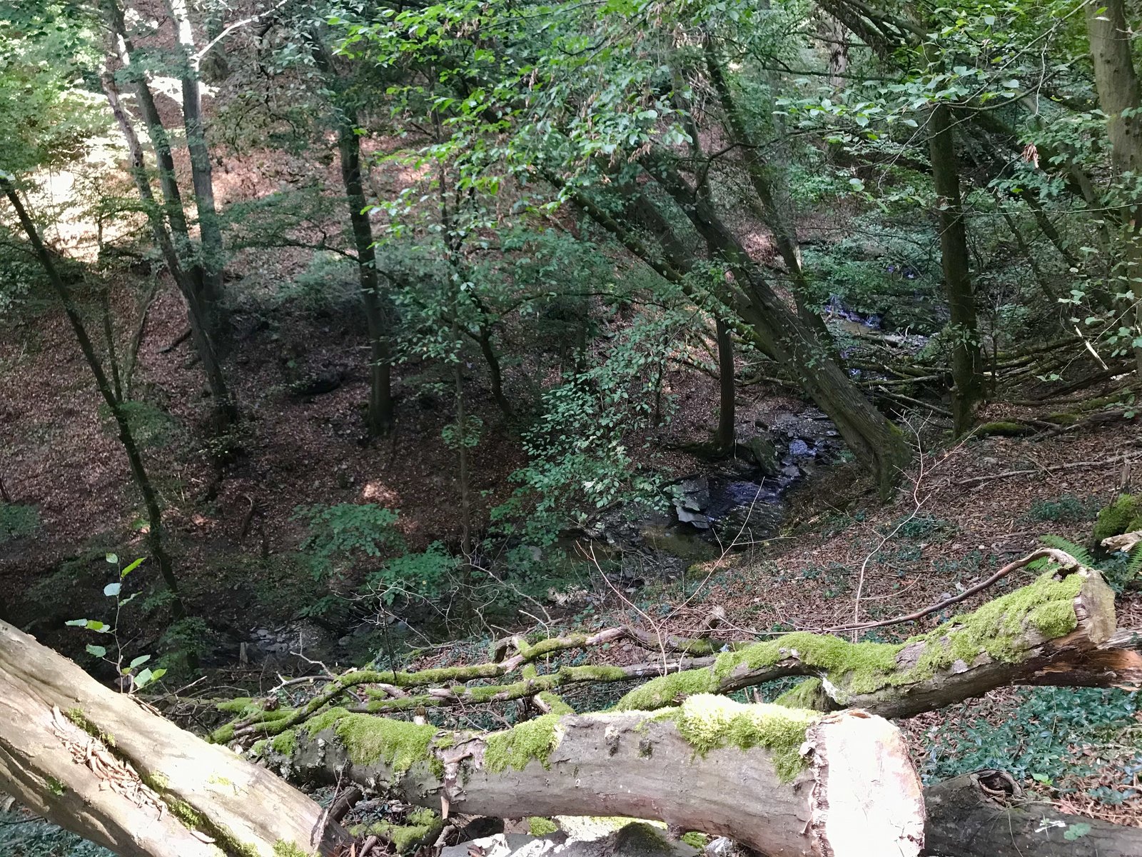 DA74E781-770F-4BDD-994B-402C63965AB9.jpeg