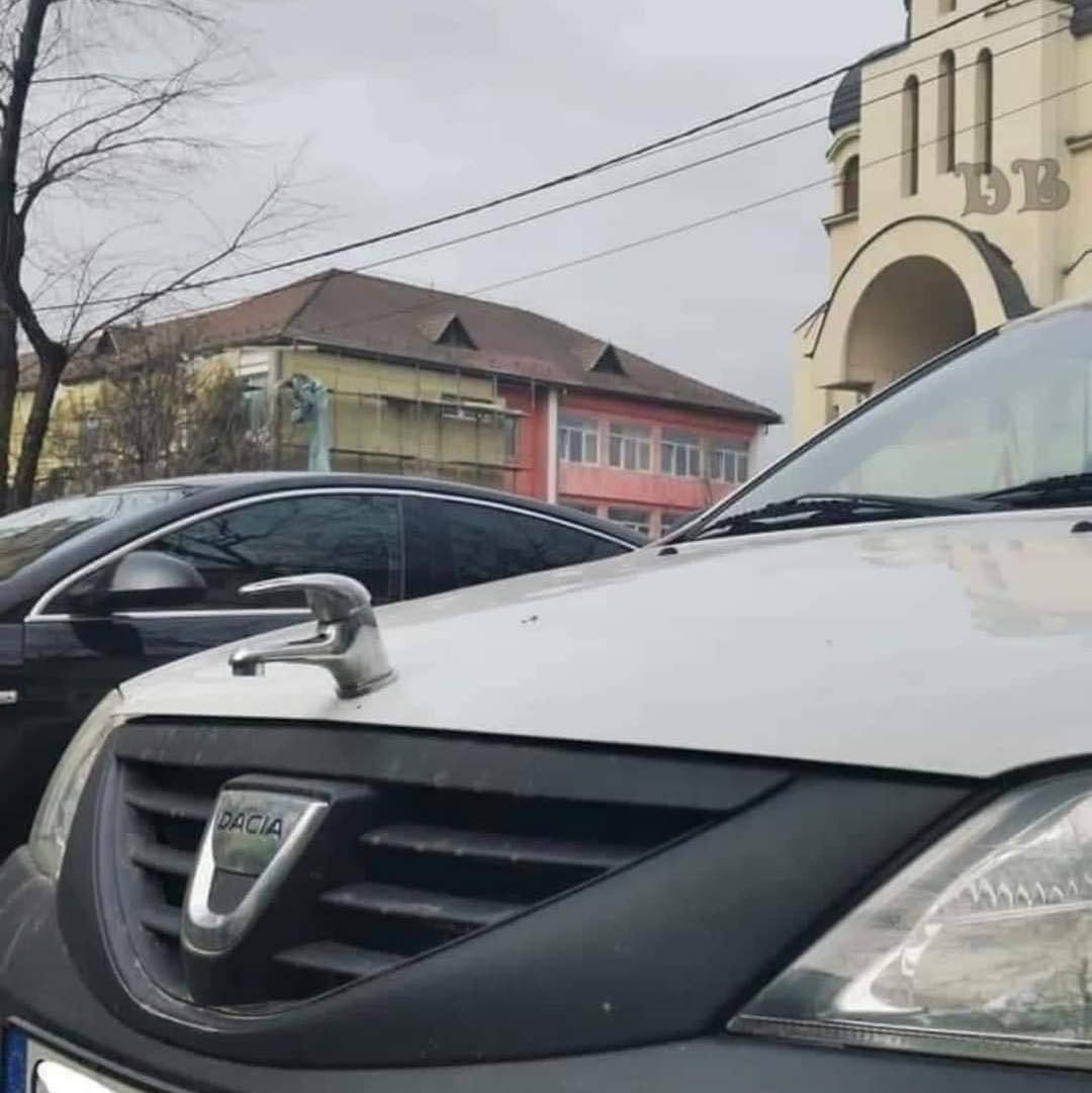 Dacia - Kühlerfigur.jpg