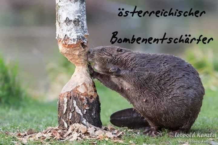 DB984F4A-C28A-4597-BD31-F4C267BF4408.jpeg