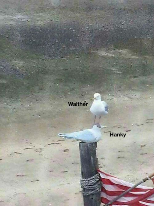 DbtFkc7WkAIC2gJ.jpg