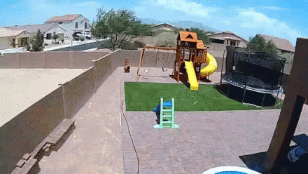 DE4EC813-F987-41C4-BE78-73E4F20CB2D5.gif