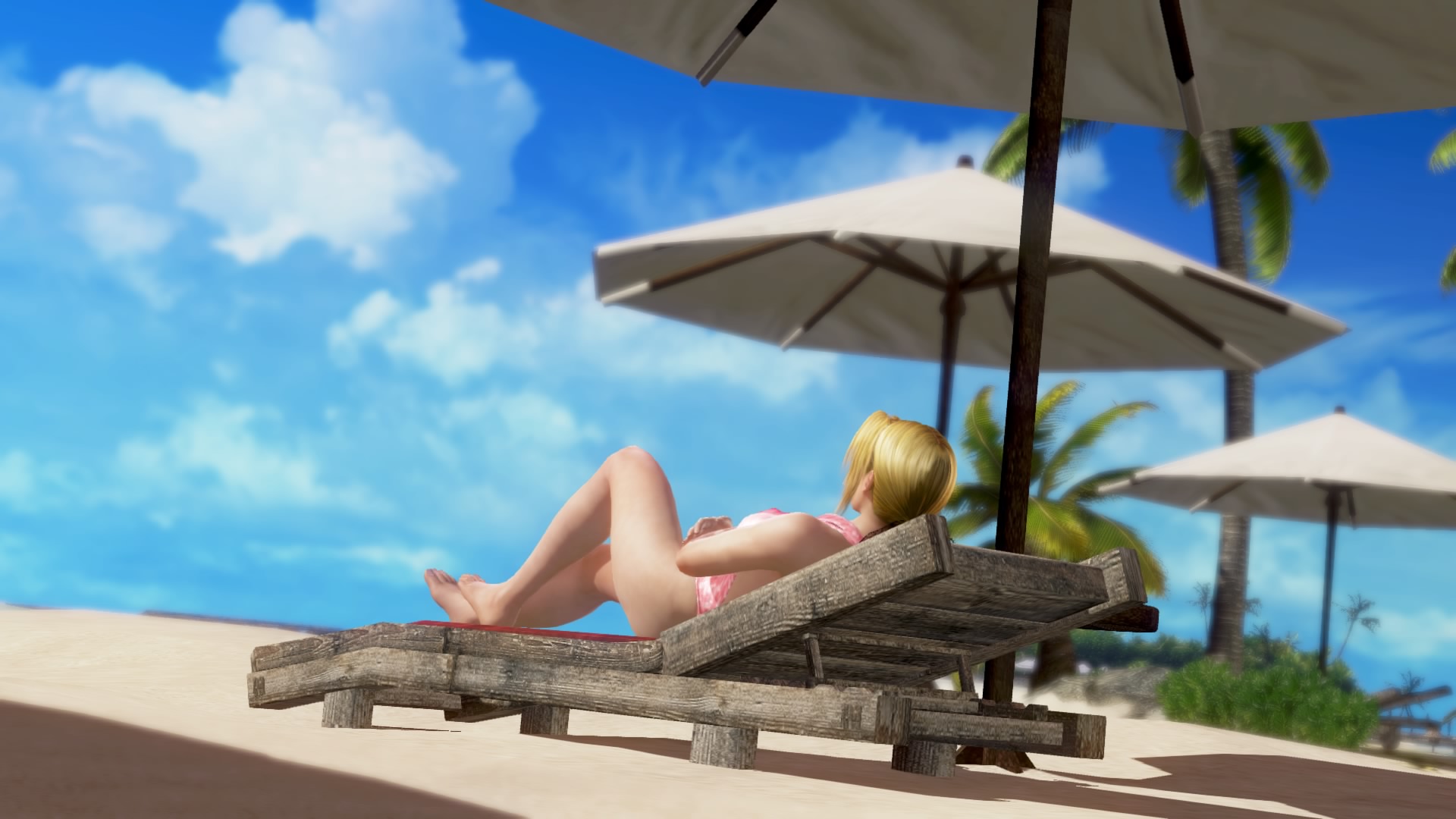 DEAD OR ALIVE Xtreme 3 Fortune_20160831175609.jpg