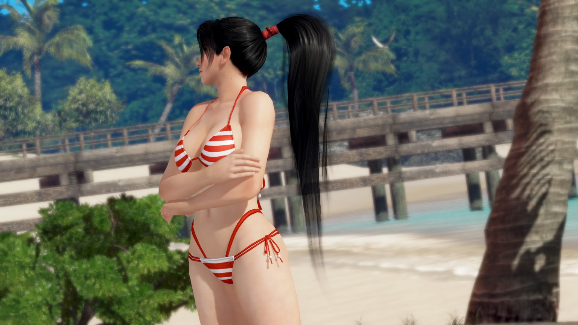 DEAD OR ALIVE Xtreme 3 Fortune_20160831175756.jpg